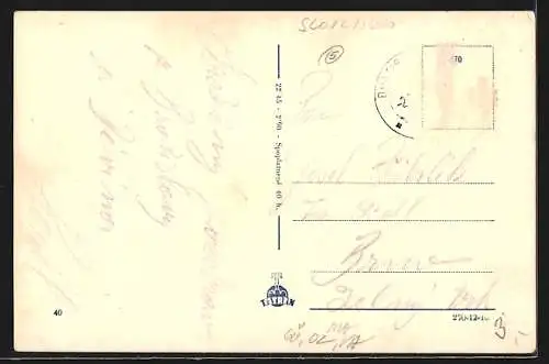 AK Bratislava, Gebäudeansicht, Dampfer, Ortspartie