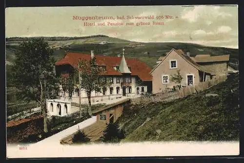 AK Muggenbrunn im bad. Schwarzwald, Hotel und Pension zum grünen Baum