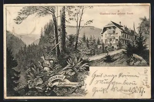 AK Muggenbrunn, Gasthaus zum grünen Baum, Waldpartie mit Rehen