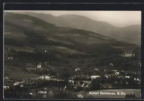 AK Reichenau /N.-Do., Totalansicht von einem Berg aus