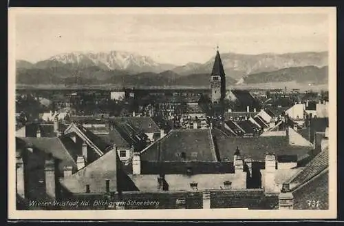 AK Wiener Neustadt, Blick gegen Schneeberg