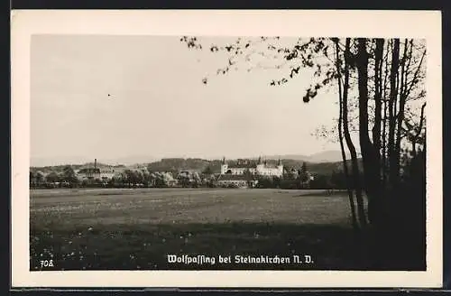 AK Wolfpassing bei Steinakirchen N. D., Ortsansicht aus der Ferne