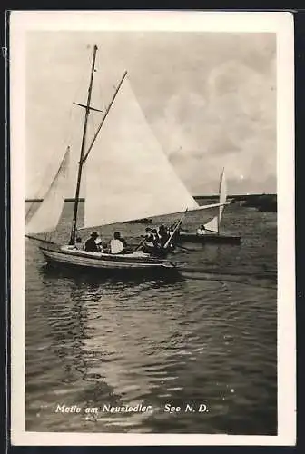 AK Neusiedl am See, Segelboote auf dem Neusiedler See