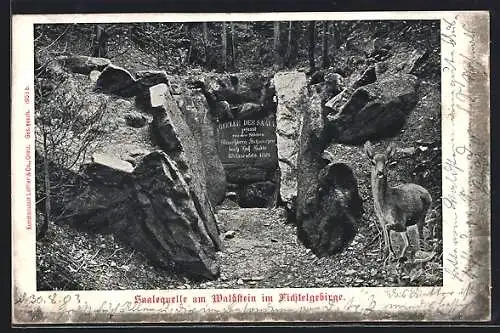AK Zell /Fichtelgeb., Saalequelle am Waldstein