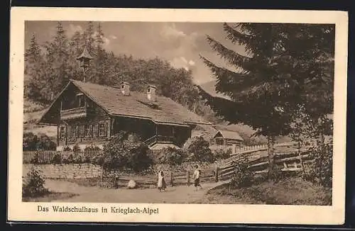 AK Krieglach-Alpel, Waldschulhaus mit Strasse