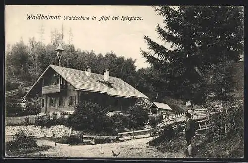 AK Krieglach, Waldschule in Alpl, Waldheimat