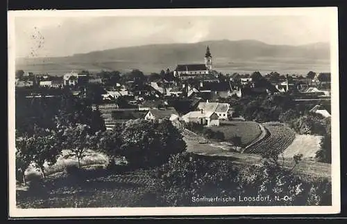 AK Loosdorf, Totalansicht