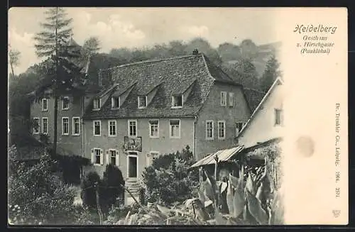 AK Heidelberg, Gasthaus z. Hirschgasse