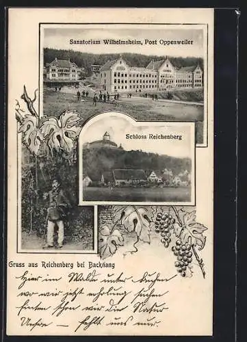 AK Reichenberg /Backnang, Schloss, Sanatorium Wilhelmsheim bei Oppenweiler, Soldat
