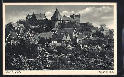 AK Bad Bentheim, Ortsansicht mit Fürstl. Schloss