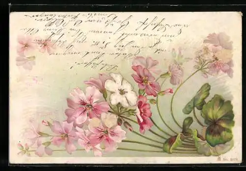 Lithographie Alpenveilchen, Jugendstil