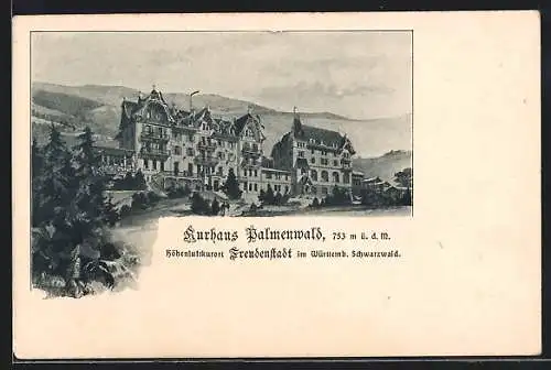 AK Freudenstadt, Ansicht vom Kurhaus Palmenwald