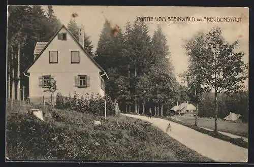 AK Freudenstadt /Schwarzwald, Partie vom Steinwald