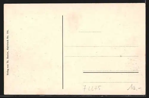 AK Alpirsbach, Partie an der Kinzigbrücke