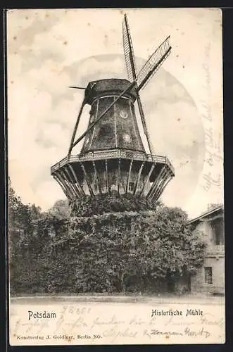 AK Potsdam, Blick auf historische Windmühle