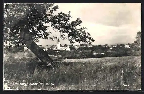 AK Euratsfeld /N.-Oe., Ortsansicht aus der Ferne