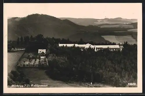 AK Grimmenstein /N.-D., Waldpension Hochegg aus der Vogelschau