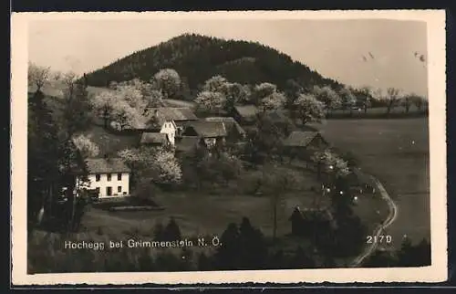 AK Grimmenstein /N. Ö., Hochegg aus der Vogelschau