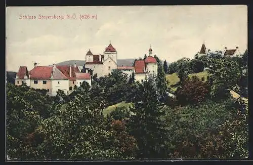AK Warth /N.-Ö., Ortsansicht mit Schloss Steyersberg