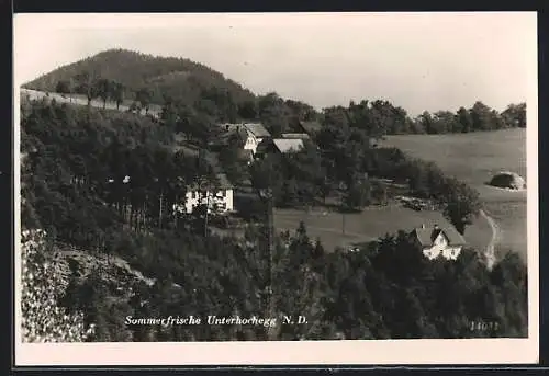 AK Grimmenstein /N. D., Unterhochegg aus der Vogelschau