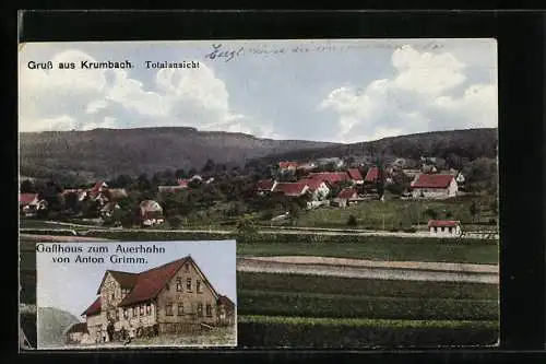 AK Krumbach / Baden, Totalansicht, Gasthaus zum Auerhahn