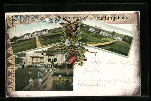 AK Moritzburg / Sa., Brüderanstalt mit Rettungshaus