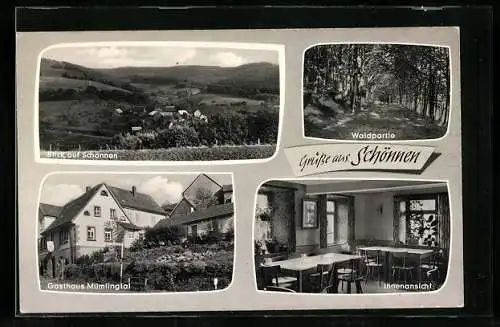 AK Schönnen /Odw., Gasthaus Zum Mümlingtal, Ortsansicht und Waldpartie