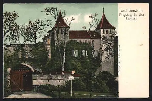 AK Lichtenstein / Schloss, Eingang in das Schloss