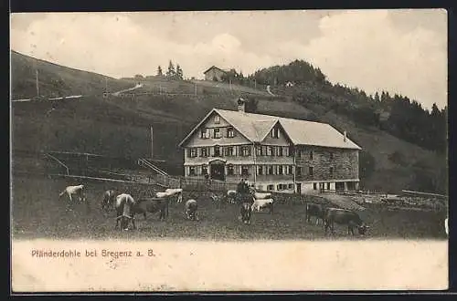 AK Bregenz a. B., Am Gasthaus Pfänderdohle