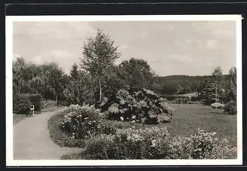 AK Schömberg bei Wildbad, Im Park des Sanatoriums
