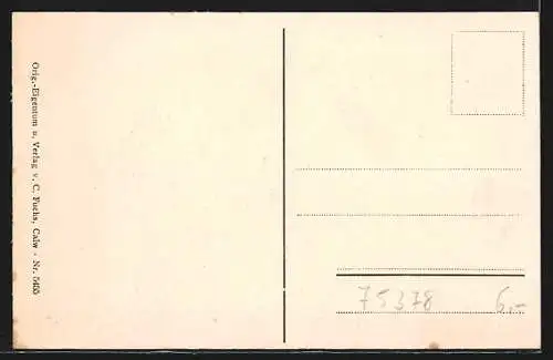 AK Bad Liebenzell, Gesamtansicht am Berghang