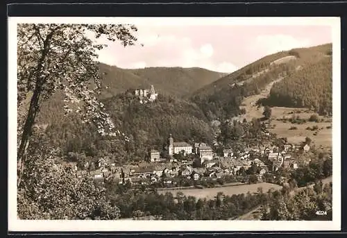 AK Leutenberg i. Thür., Gesamtansicht aus der Ferne