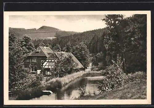 AK Bärenfels, Privat-Kinderheim Haus Waldwiese