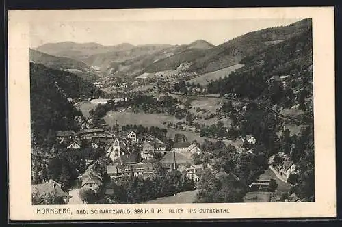 AK Hornberg / Schwarzwald, Blick ins Gutachtal
