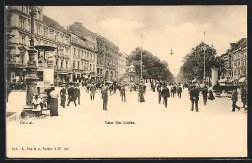 AK Berlin, Unter den Linden, Strassenpartie mit Litfasssäulen