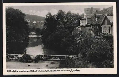 AK Tanne /Harz, An der Bode, Blick zum Jägerborn