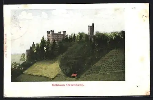 AK Ortenberg / Baden, Blick auf das Schloss