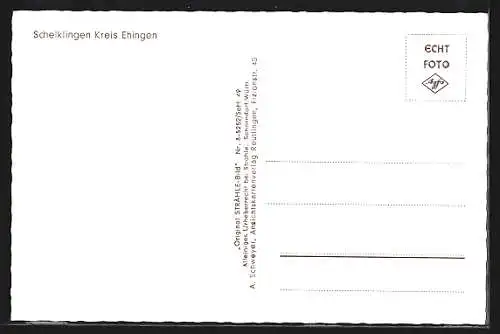 AK Schelklingen /Ehingen, Teilansicht mit Burgruine