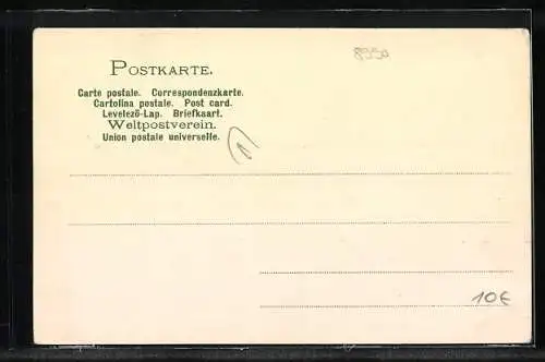 Künstler-AK C.Biese: Lindau, Totalansicht mit dem Bodensee, Diebsturm mit Peterskirche