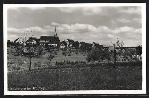 AK Tiefenbronn, Panorama