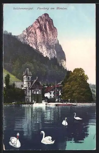 AK Plomberg a. Mondsee, Ortsansicht mit Drachenwand