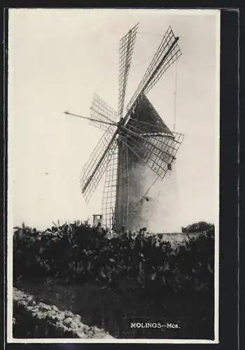 AK Palma de Mallorca, Molino