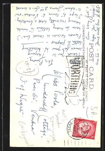 AK Cape Town, Summit of Table Mountain, Roses, Municipal Gardens