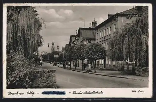 AK Rosenheim / Obb., Landwirtschaftschule in der strasse