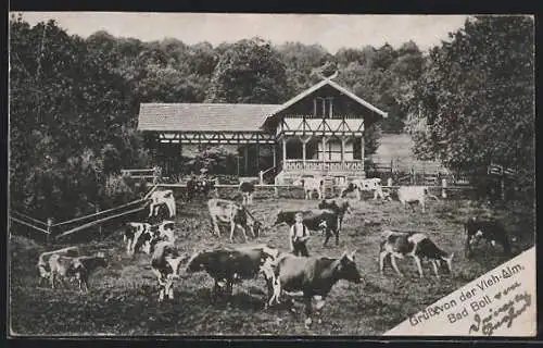 AK Bad Boll, Gasthaus zur Vieh-Alm mit Kühen auf der Weide