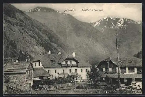 AK Mallnitz, Gasthof 3 Gemsen, Tauernkette