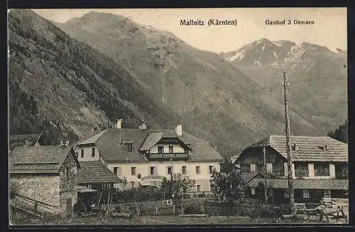 AK Mallnitz, Blick auf den Gasthof 3 Gemsen