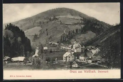 AK Waldbach, Blick auf das Dorf