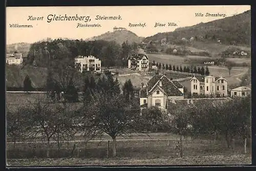 AK Gleichenberg, Panorama mit Rosenhof, Balue Villa und Villa Strassburg