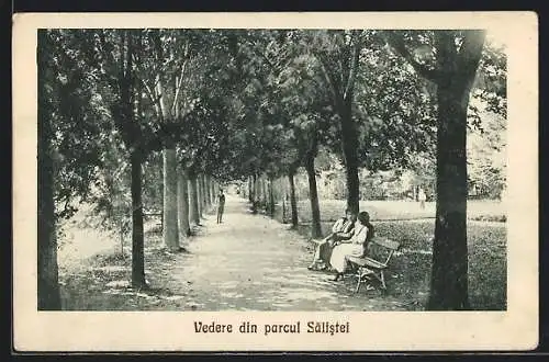 AK Saliste, Vedere din parcul